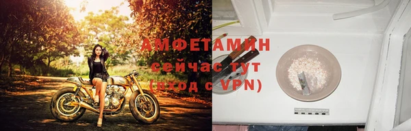 ECSTASY Белокуриха