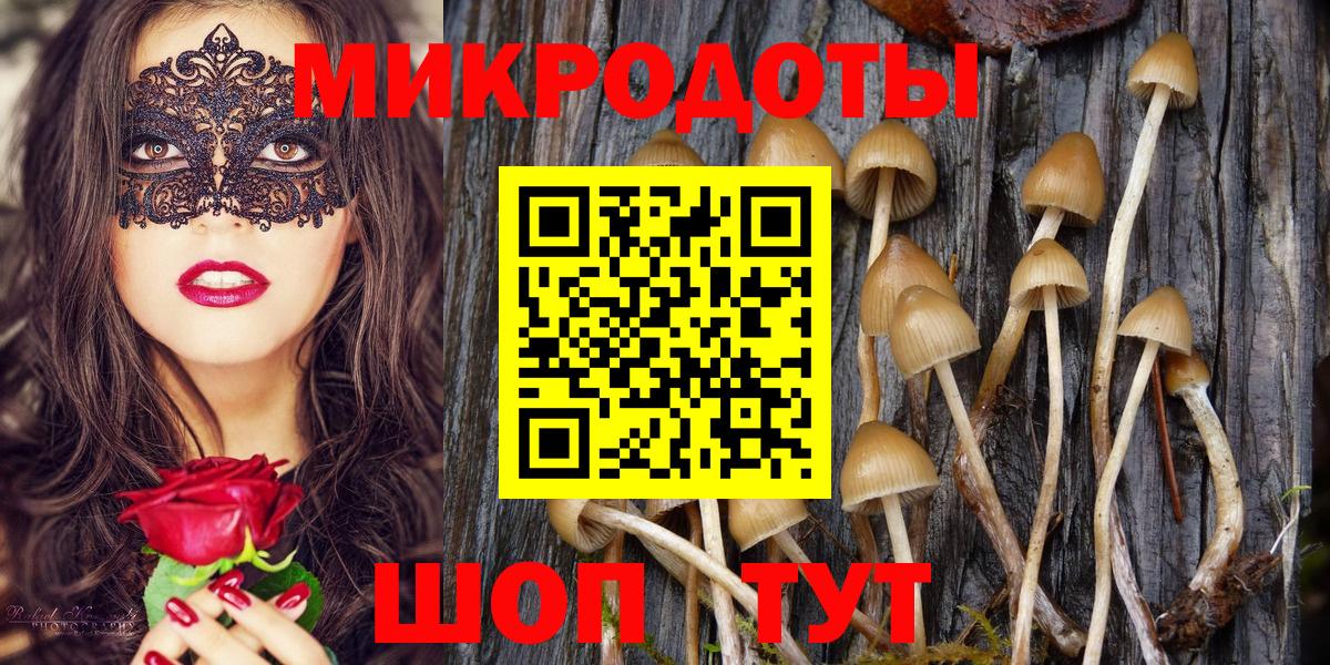 Среднеуральск  Псилоцибиновые грибы мицелий  Вход с VPN 